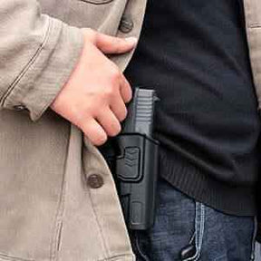 Taurus G2C Taurus G3C Taurus G3C TORO Taurus PT111 Millennium G2 Taurus PT140 Millennium G2 OWB Polymer Holster With 1 pcs Paddle  and 1 pcs Molle Attachment Adapters | Gun & Flower